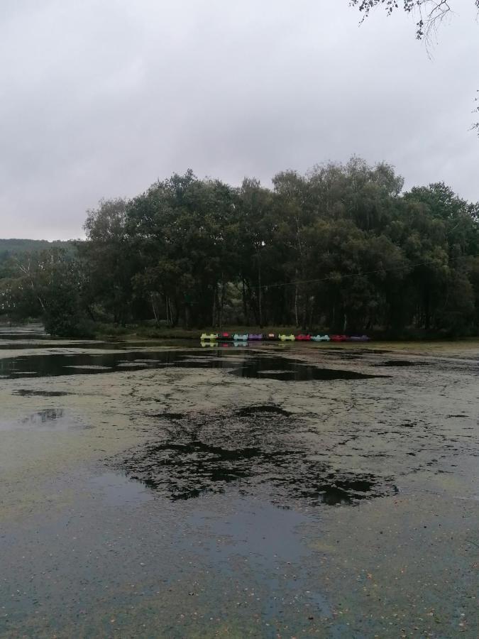 Les Gites De L'Etang De La Foret Brandivy Eksteriør billede